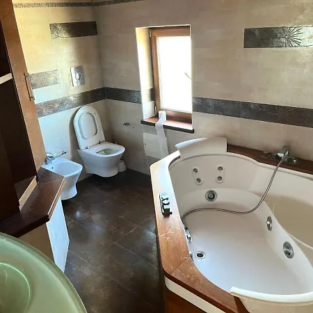 Luxurious Panoramic House